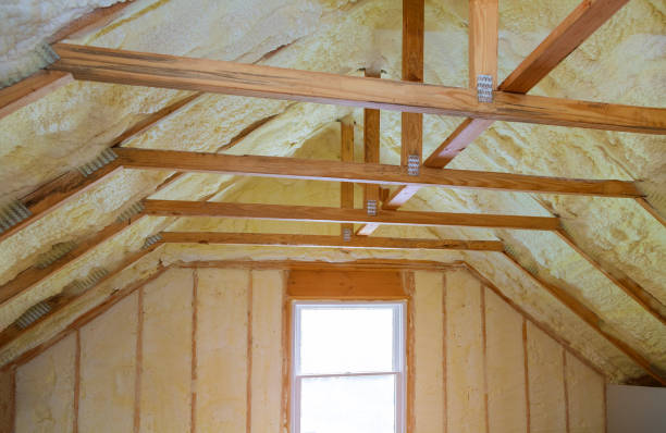 Best Insulation for New Construction  in Grizzly Flats, CA