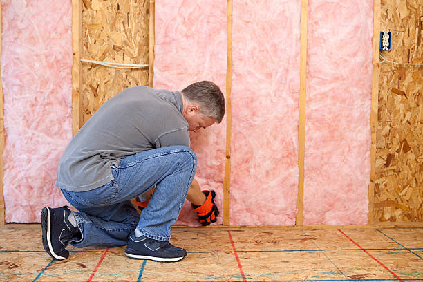 Best Cellulose Insulation  in Grizzly Flats, CA